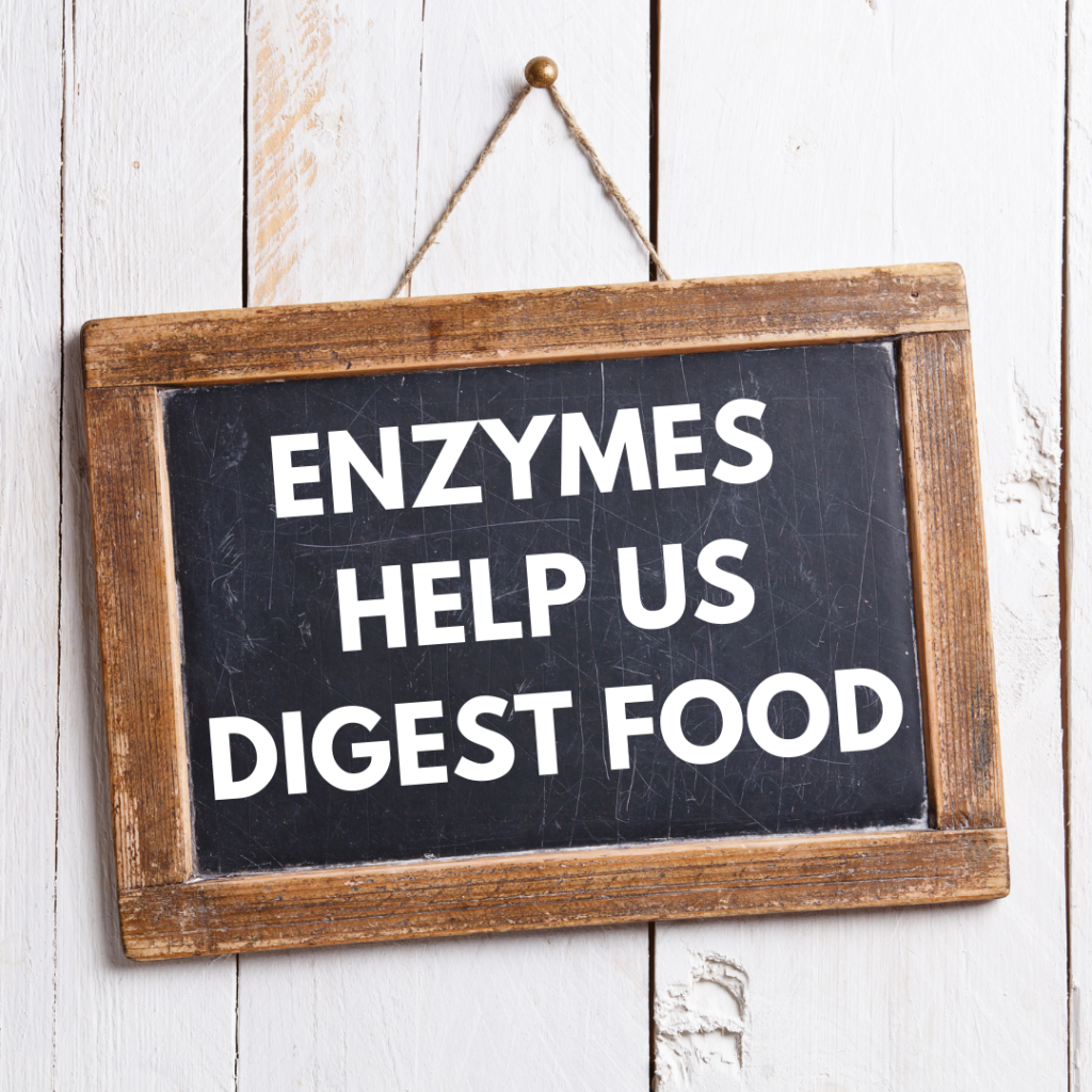 digestive enzymes, plant based digestive enzymes, bloating, bloating remedy, bloating supplement, de-bloat supplement, enzymes, stomach enzymes