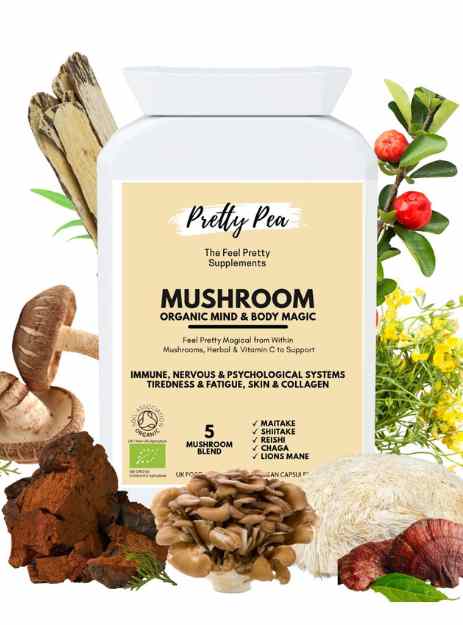 mushroom supplements