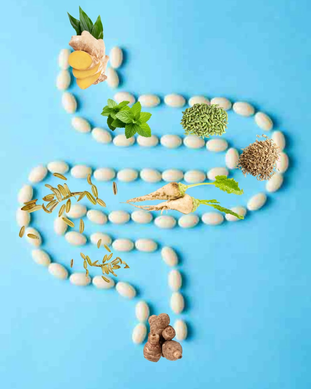 - Pretty Pea psyllium husk powder image, psyllium husk image, fibre powder