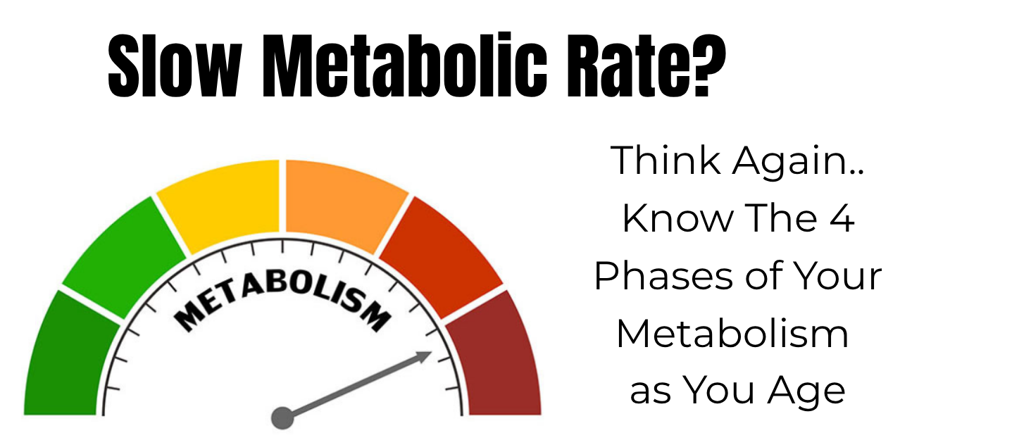 metabolic rate graph image