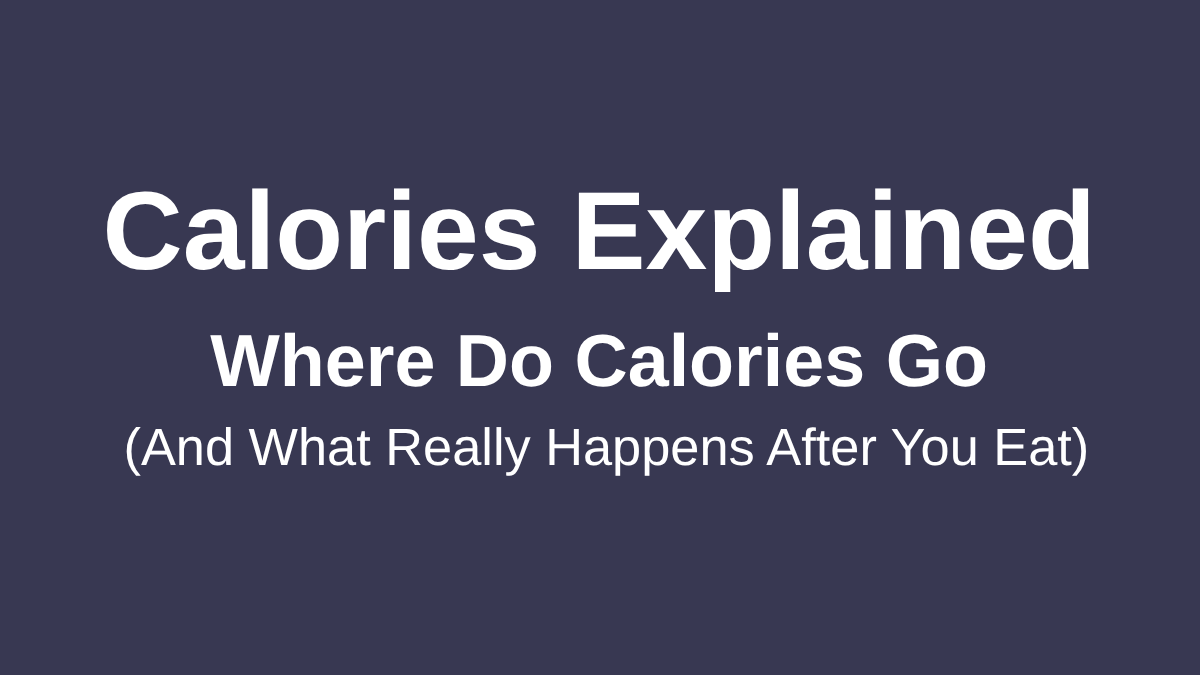 Calories Explained: Where Do Calories Go (And What Really Happens After You Eat)